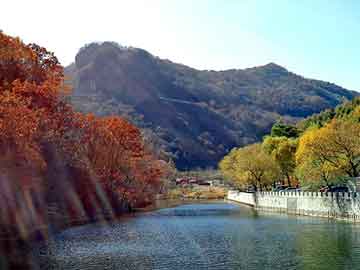 正版澳门天天开彩大全，五谷杂粮顺口溜